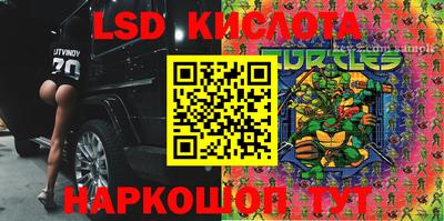 2c-b Камышлов