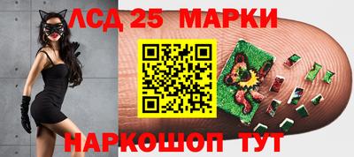 тгк Канаш