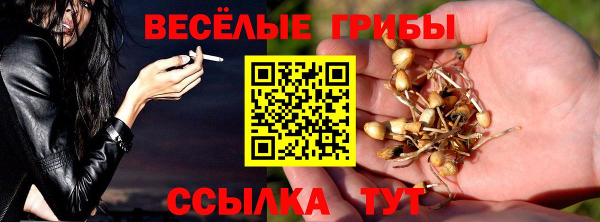 Кумертау  Галлюциногенные грибы MAGIC MUSHROOMS  Вход с VPN 