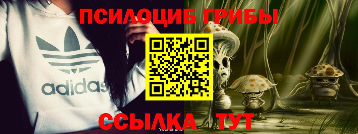 Псилоцибиновые грибы ЛСД Кумертау